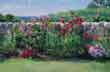 capegardentiny (1K)
