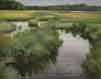 wetlandstiny (1K)