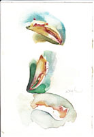 Original art on paper.