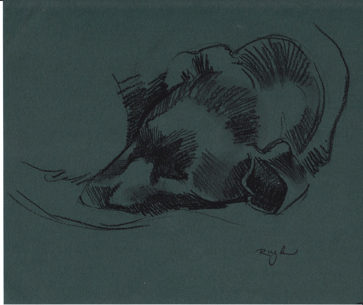 Artwork by Doug Rugh.