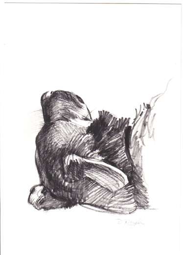 Artwork by Doug Rugh.