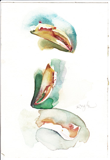 Artwork by Doug Rugh.