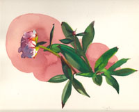 Original art on paper.